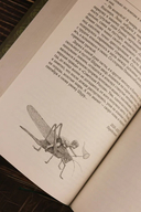 Собрание сочинений. Том 10. 2020-2022 — фото, картинка — 10