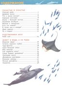 Акулы, киты и дельфины. Энциклопедия для детского сада — фото, картинка — 1