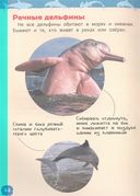 Акулы, киты и дельфины. Энциклопедия для детского сада — фото, картинка — 2