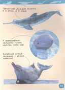 Акулы, киты и дельфины. Энциклопедия для детского сада — фото, картинка — 3