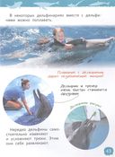 Акулы, киты и дельфины. Энциклопедия для детского сада — фото, картинка — 5