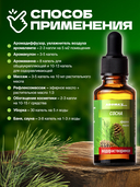 Эфирное масло водорастворимое 