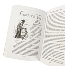 Приключения Тома Сойера и Гекльберри Финна — фото, картинка — 2