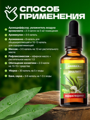 Эфирное масло водорастворимое 