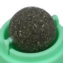 Кошачья мята (6х6 см) — фото, картинка — 3