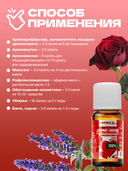 Аромакомпозиция натуральных эфирных масел 