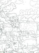 Раскраска-виммельбух. Животный мир — фото, картинка — 1