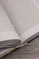 Ведьмак двадцать третьего века — фото, картинка — 4