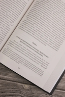 Ведьмак двадцать третьего века — фото, картинка — 5