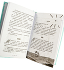 Маленький принц. Южный почтовый — фото, картинка — 3