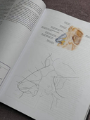 Анатомия Абрахамса. Атлас-раскраска — фото, картинка — 4