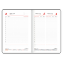 Ежедневник датированный на 2026 год  Ежедневник датированный на 2026 год