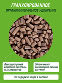 Удобрение для лука и чеснока 