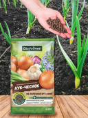 Удобрение для лука и чеснока 