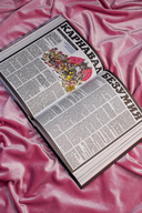 Карнавал Безумия. Хроники саморазрушения в стиле панк — фото, картинка — 6