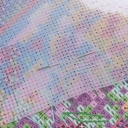 Набор для вышивания на пластиковой канве 