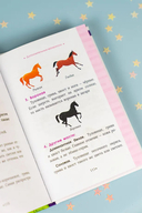 Академия верховой езды. Лошадь для Марьяны — фото, картинка — 14