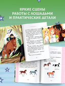 Академия верховой езды. Лошадь для Марьяны — фото, картинка — 4