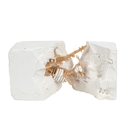 Набор для раскопок 