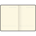 Ежедневник недатированный  Ежедневник недатированный