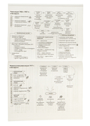 История Беларуси. 9 класс. Опорные конспекты для подготовки к обязательному экзамену — фото, картинка — 1