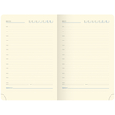 Ежедневник недатированный  Ежедневник недатированный