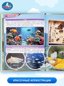 Все обо всем. Энциклопедия для детей — фото, картинка — 4