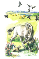 Про Мальку — фото, картинка — 3