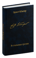 В стальных грозах — фото, картинка — 1