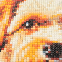 Алмазная вышивка-мозаика 