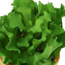 Цветок искусственный 