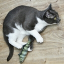 Игрушка для кошек 