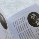 Сундук Монтеня, или Приключения переводчика — фото, картинка — 1