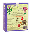 Эволюция. Трава и грибы (дополнение; 18+) — фото, картинка — 5