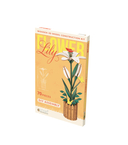 Сборная деревянная модель 