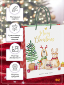 Пакет бумажный подарочный 