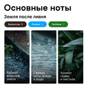 Парфюмерное масло унисекс 