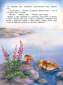 Приключения мышонка Недо на Ладоге — фото, картинка — 1