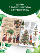 Энциклопедия деревьев мира — фото, картинка — 3